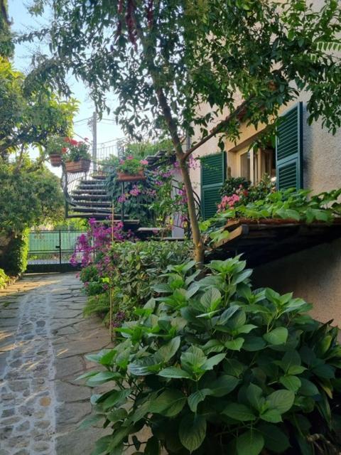 Casa Cambini Bed and Breakfast Marina di Massa Eksteriør billede